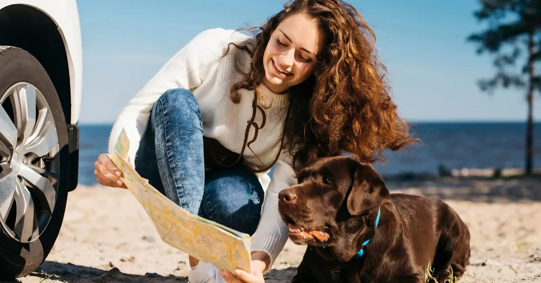 The Ultimate Checklist for Traveling with Your Pet This Summer (2026 Guide)