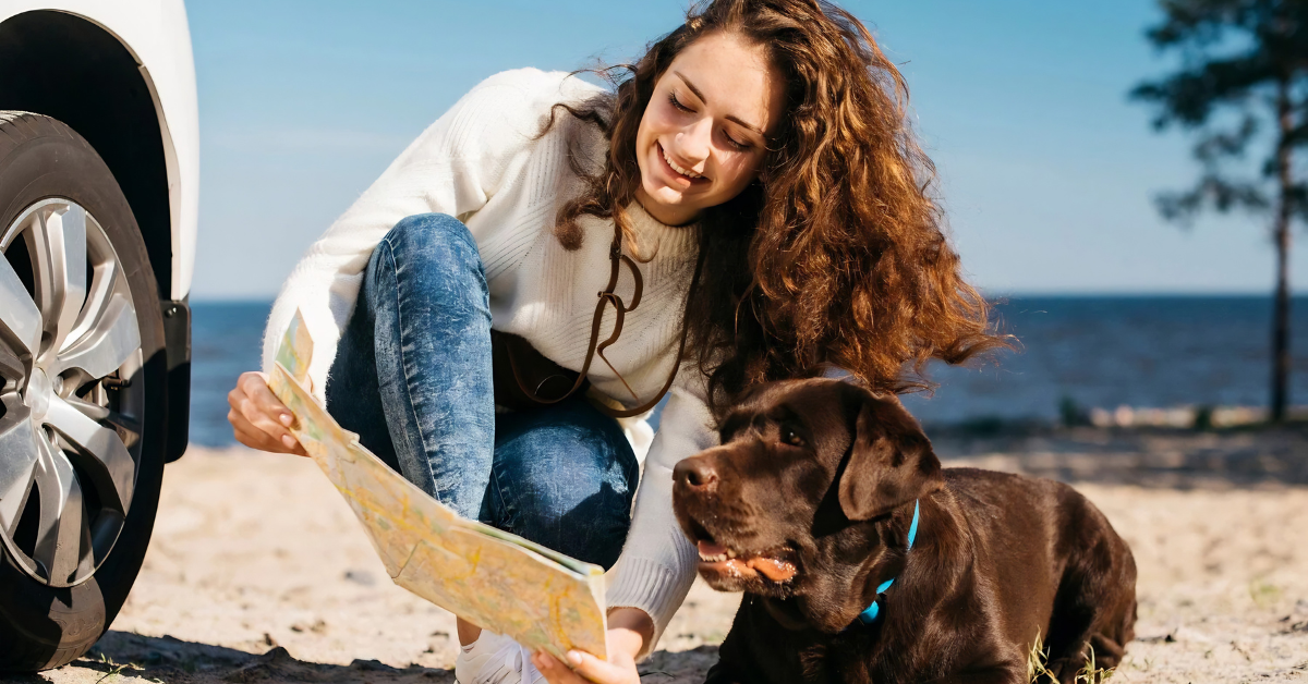The Ultimate Checklist for Traveling with Your Pet This Summer (2026 Guide)