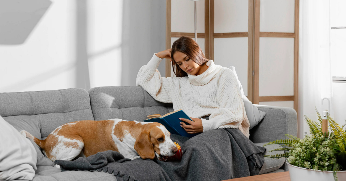 5 Must-Have Accessories to Calm Your Dog’s Anxiety Today