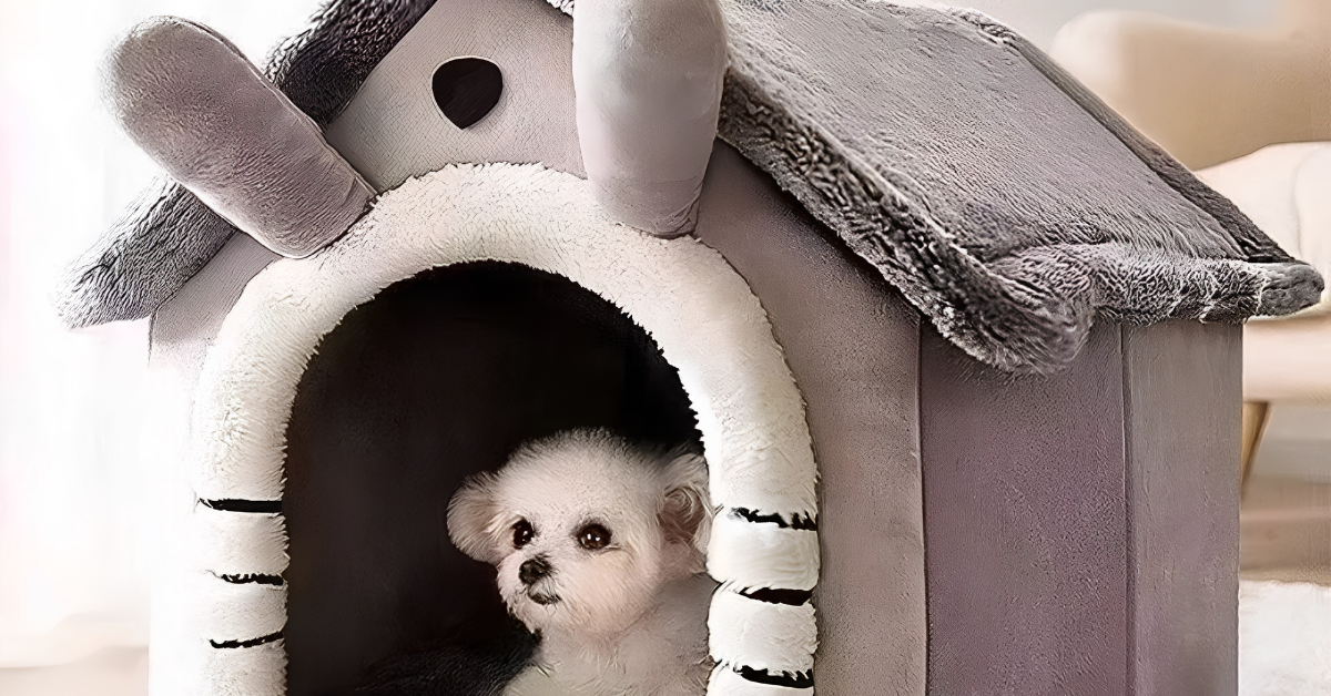 🐾 The Ultimate Guide to Choosing the Best Dog Bed for Large Breeds (2026)