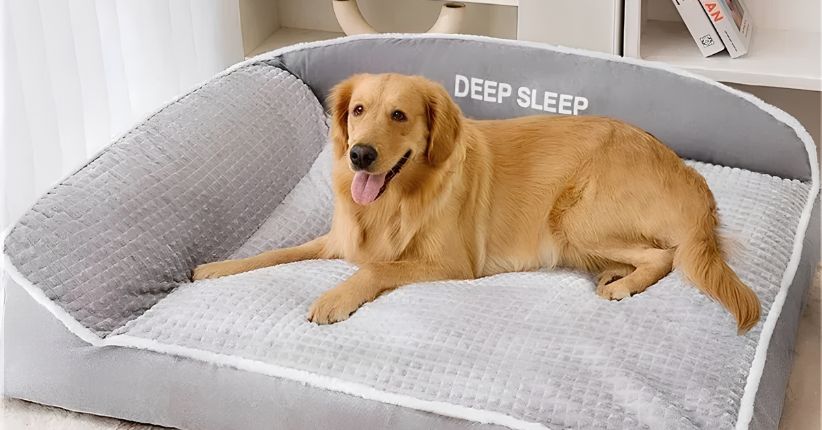 Your Dog Deserves an Orthopedic CloudComfort™ Sofa