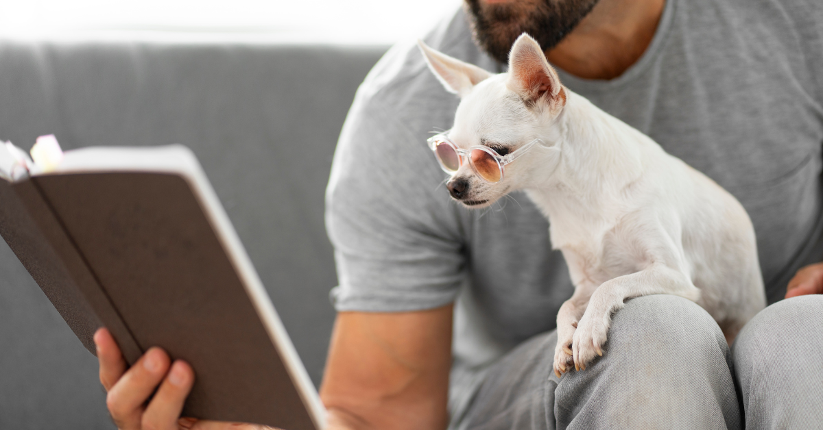  Smart Toys Can Fight Separation Anxiety voofvoof