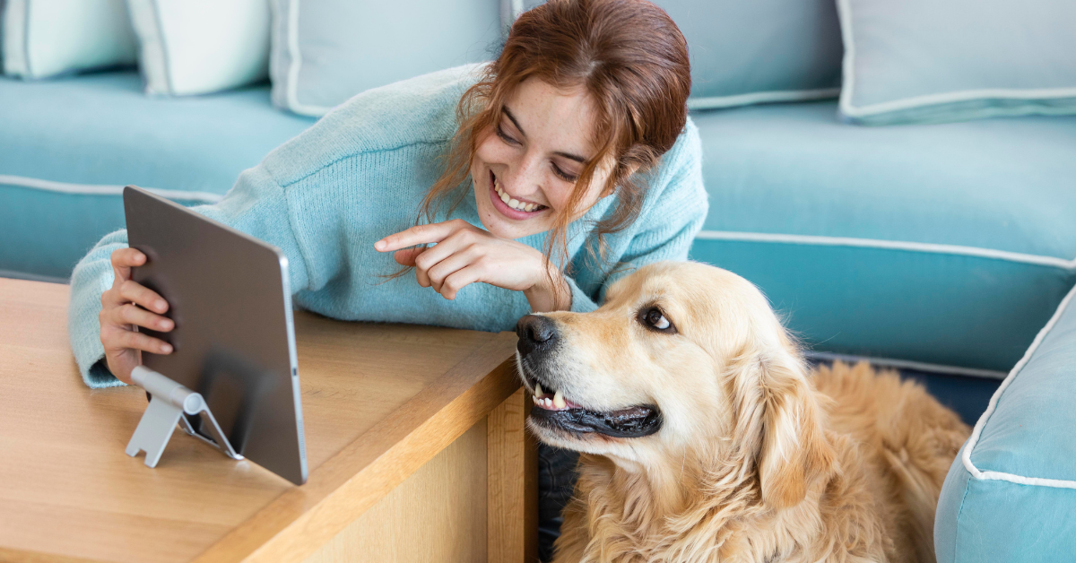 Guide to a Distraction-Free Workday (With Pet Tech) voofvoof