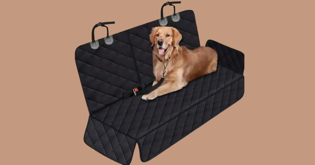 The Best Dog Car Seat Cover for Mess-Free Travel (2026 Buyer's Guide)
