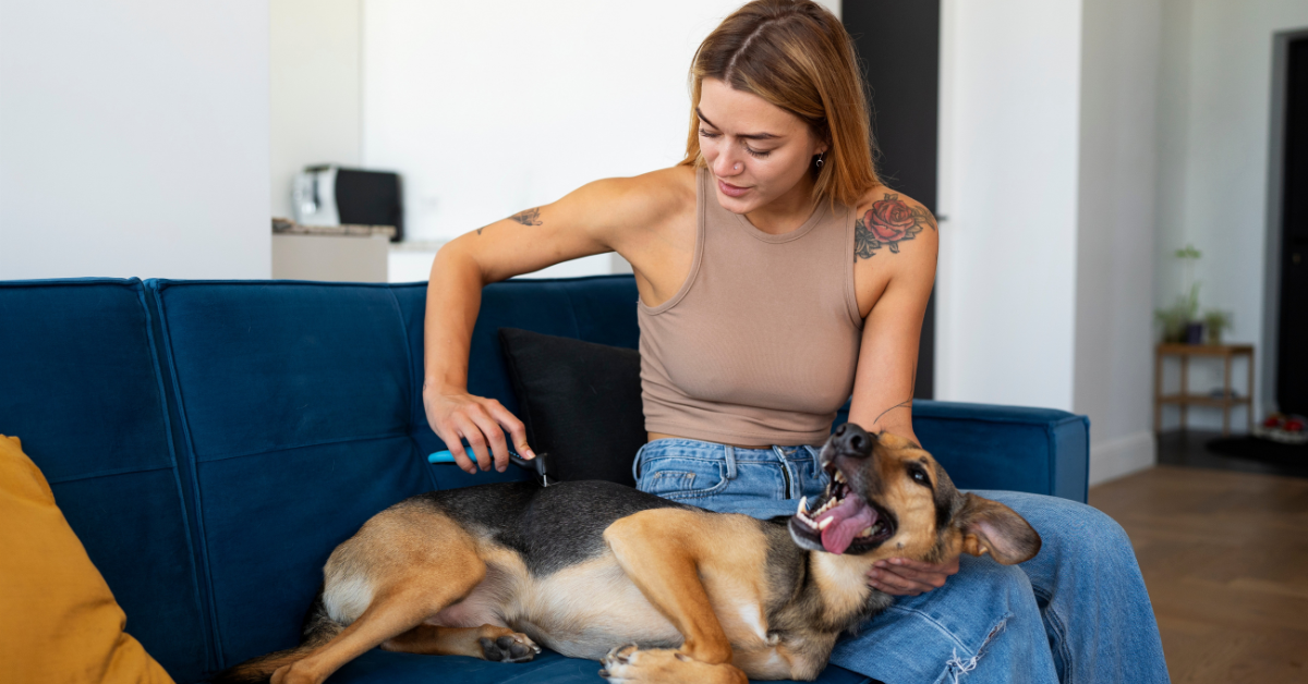 🐾 Top 7 Must-Have Pet Gadgets for European Dog Owners in 2026