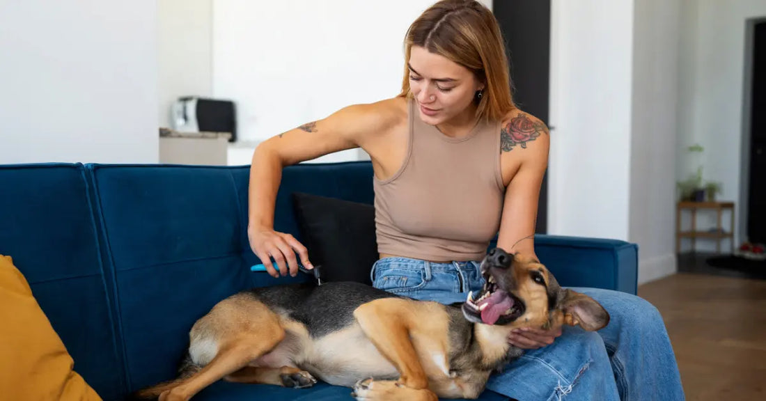 🐾 Top 7 Must-Have Pet Gadgets for European Dog Owners in 2026