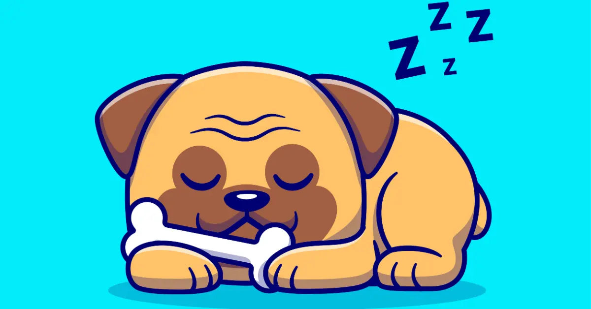 The Secret to a Calmer Pet: Why Choosing the Right Dog Bed Matters