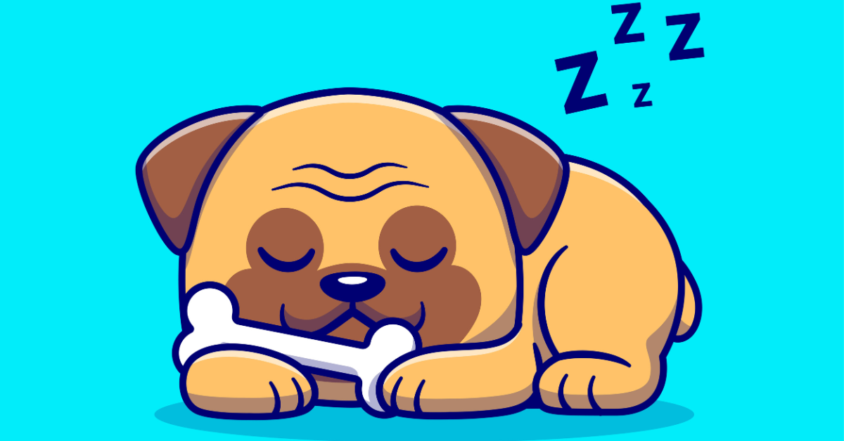 The Secret to a Calmer Pet: Why Choosing the Right Dog Bed Matters