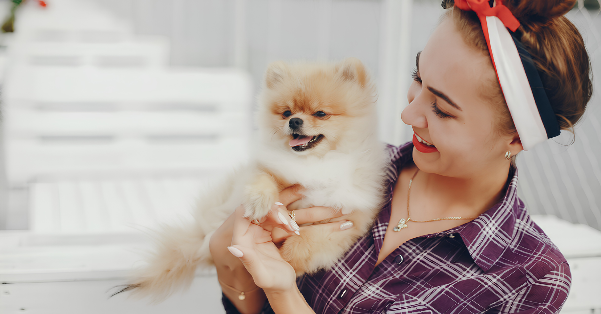 How to Reduce Dog Shedding: The Ultimate Home and Grooming Guide