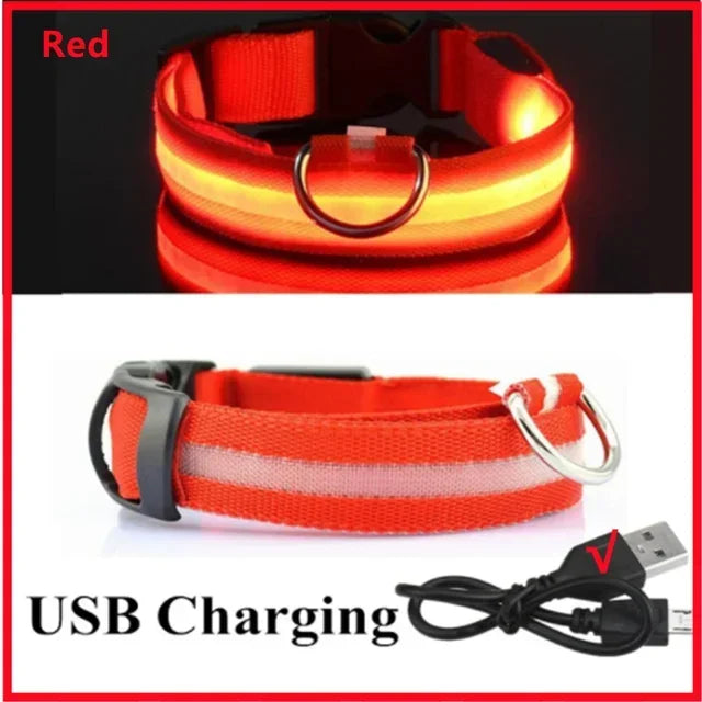 Ultra-Glow USB Dog Collar