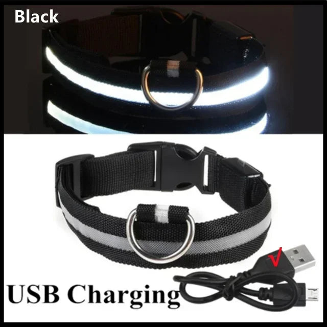 Ultra-Glow USB Dog Collar