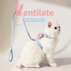Harnesses & Leashes