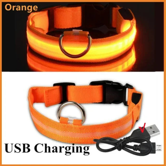 Ultra-Glow USB Dog Collar