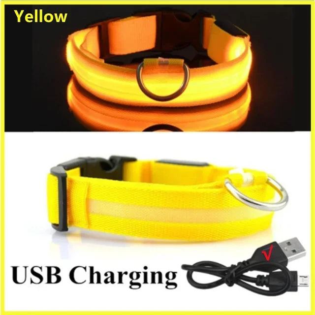 Ultra-Glow USB Dog Collar