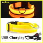 Ultra-Glow USB Dog Collar