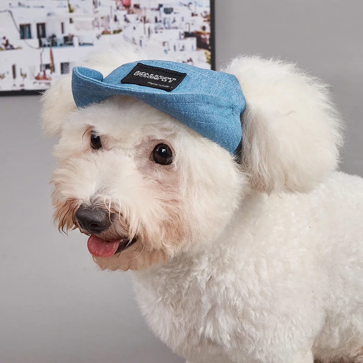 Dog Sun Hat – Adjustable Breathable Baseball Cap with UV Protection