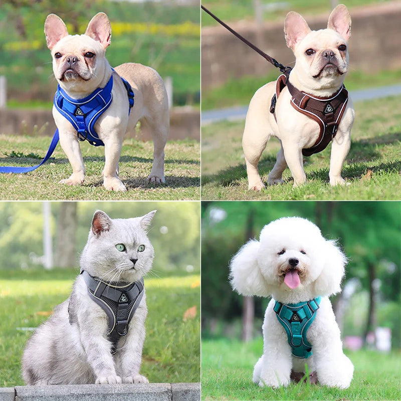 AeroComfort Reflective Pet Harness & Leash Set