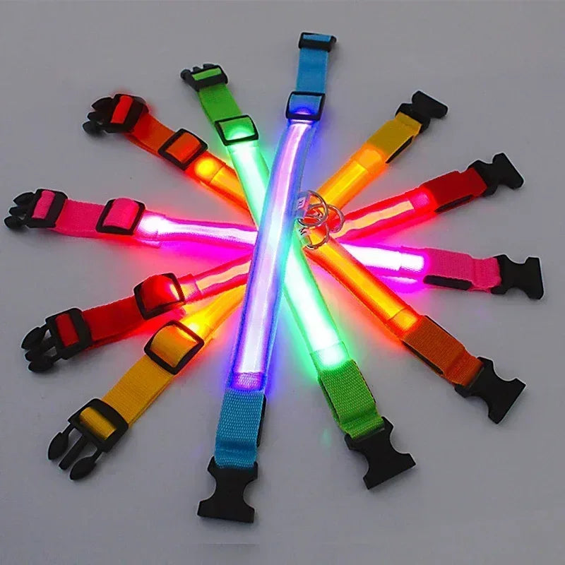 Ultra-Glow USB Dog Collar