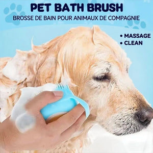 Grooming & Hygiene