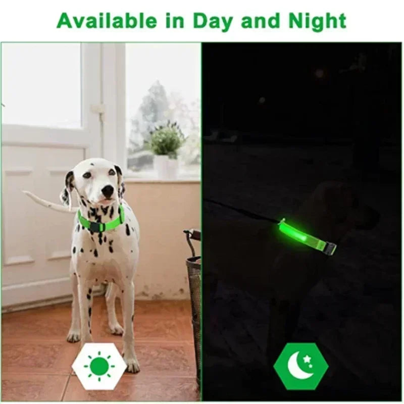 Ultra-Glow USB Dog Collar