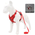 AeroComfort Reflective Pet Harness & Leash Set