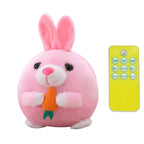 Pet Dog Toy Electronic Singing