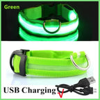 Ultra-Glow USB Dog Collar