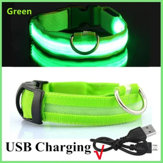 Ultra-Glow USB Dog Collar