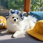 Pet Sun Protection Outdoor Hat