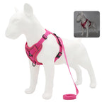 AeroComfort Reflective Pet Harness & Leash Set