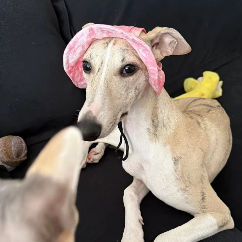 Summer Dog Sun Hat – Breathable Adjustable Cap with Ear Holes for Small & Medium Dogs