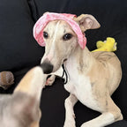 Summer Dog Sun Hat – Breathable Adjustable Cap with Ear Holes for Small & Medium Dogs