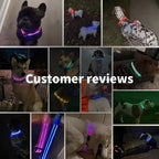 Ultra-Glow USB Dog Collar