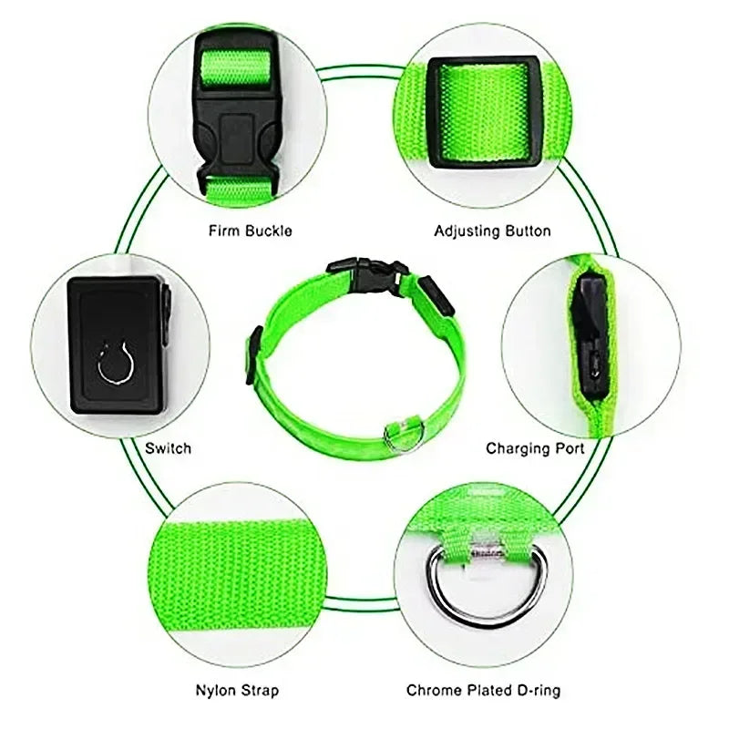 Ultra-Glow USB Dog Collar
