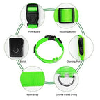 Ultra-Glow USB Dog Collar