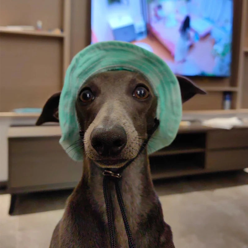 Summer Dog Sun Hat – Breathable Adjustable Cap with Ear Holes for Small & Medium Dogs
