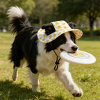 Pet Sun Protection Outdoor Hat