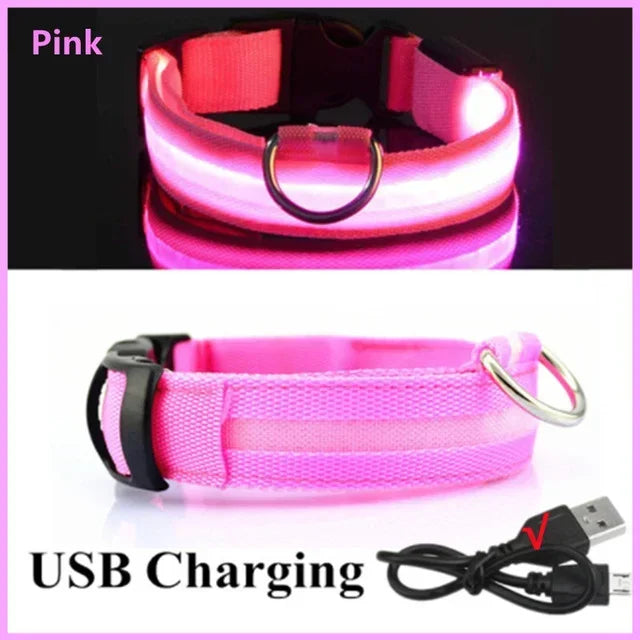 Ultra-Glow USB Dog Collar