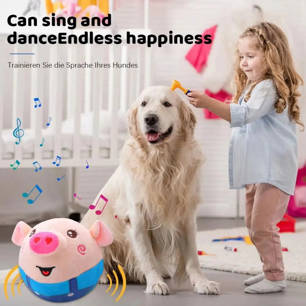 Pet Dog Toy Electronic Singing
