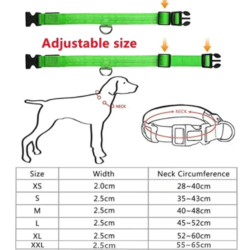 Ultra-Glow USB Dog Collar