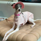 Summer Dog Sun Hat – Breathable Adjustable Cap with Ear Holes for Small & Medium Dogs