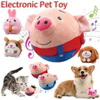 Pet Dog Toy Electronic Singing