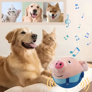 Pet Toys